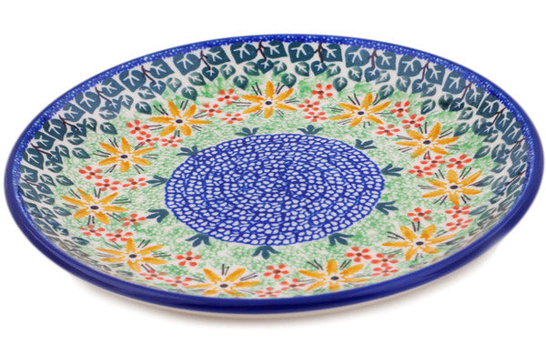 H1109Q (2025-06-22 01:24:28)