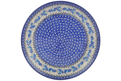 H7610Q (2025-04-17 09:50:31)