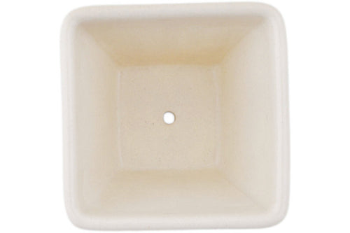 H1058O_1 (2025-11-07 15:16:59)