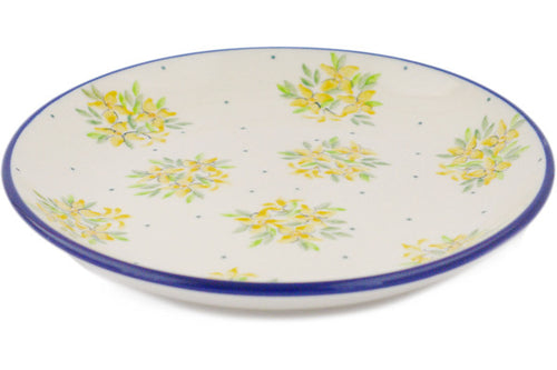 H8918Q_1 (2025-05-20 11:43:06)